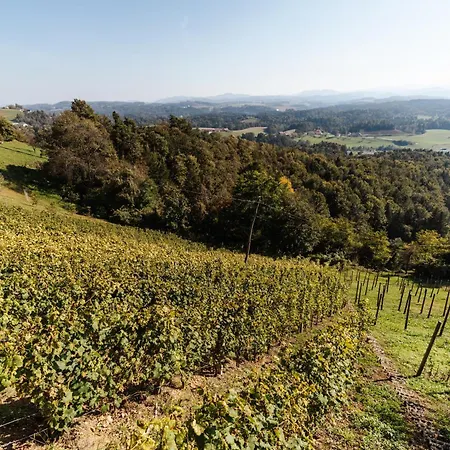 Vineyard Paradise Senica