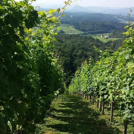 Vineyard Paradise Senica Venkovský dům