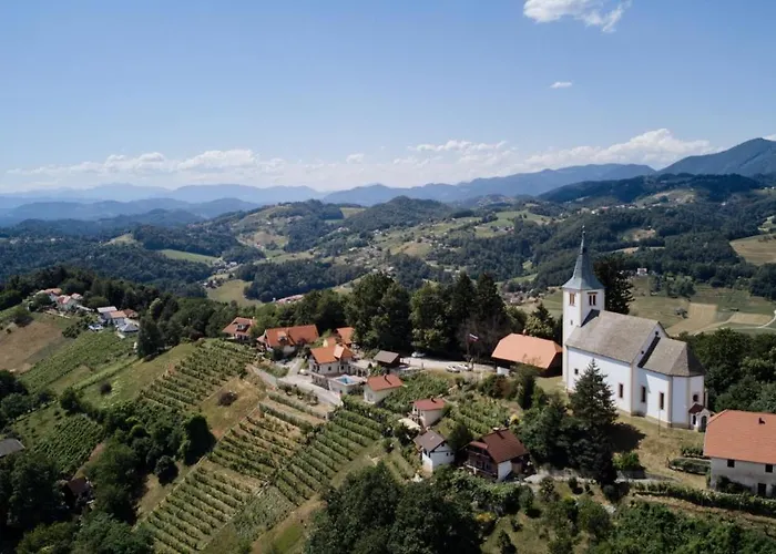 Vineyard Paradise Senica *