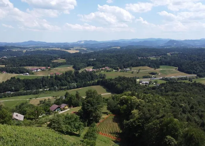 Vineyard Paradise Senica * Dramlje