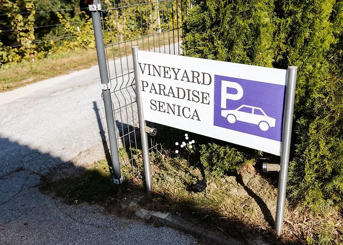 Kır Evi Vineyard Paradise Senica Dramlje