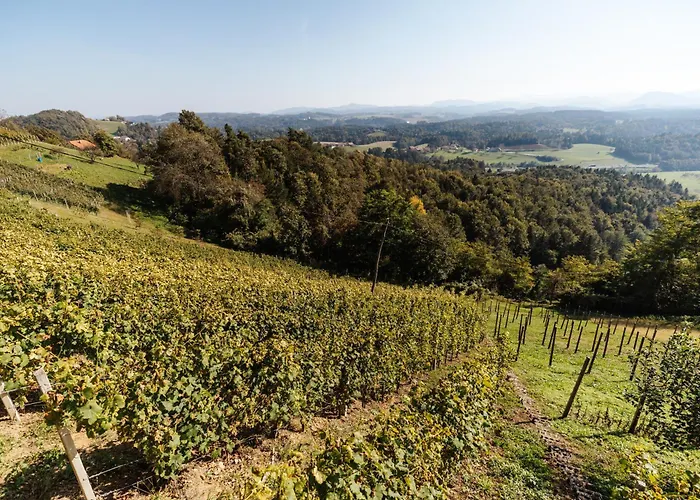 Vineyard Paradise Senica