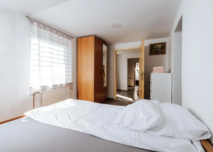 Vineyard Paradise Senica